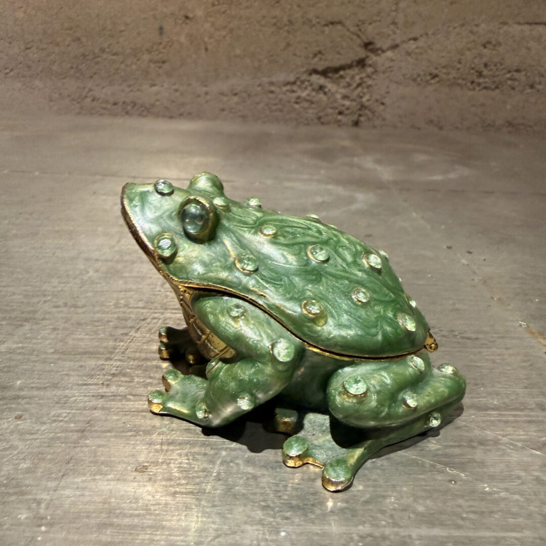 Frog-Safekeep-Box-06-26-RR (5 of 12)