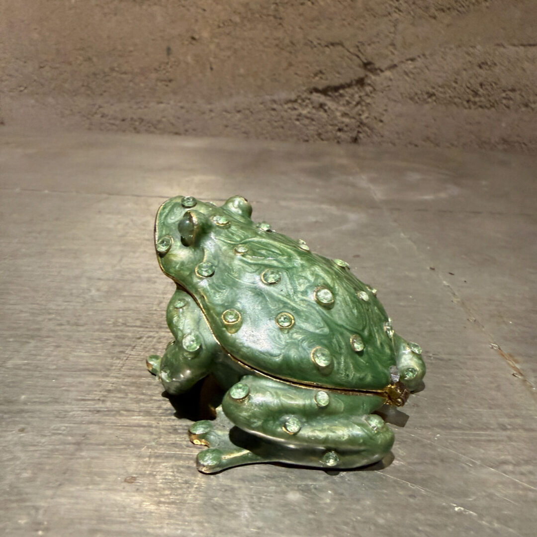 Frog-Safekeep-Box-06-26-RR (6 of 12)