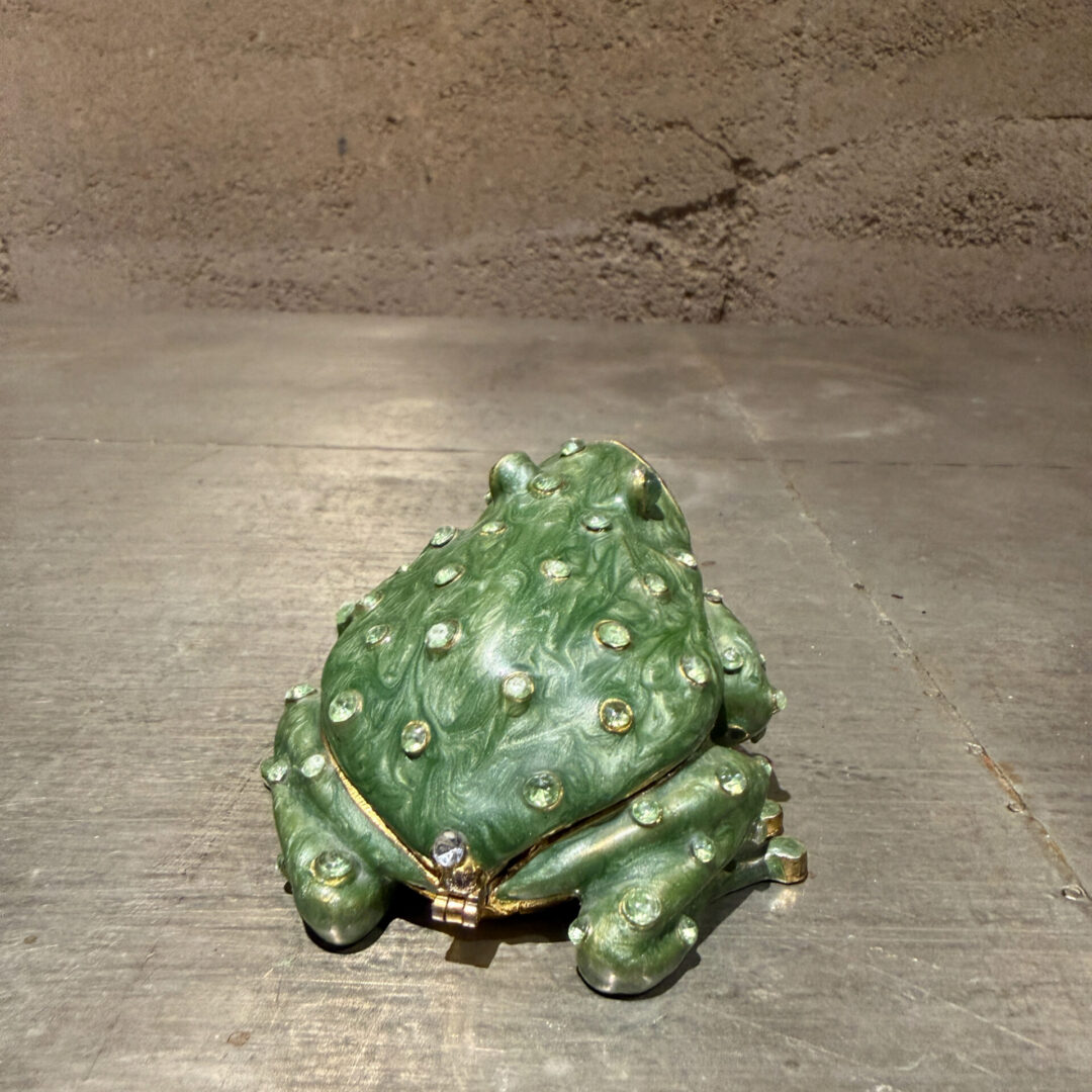 Frog-Safekeep-Box-06-26-RR (8 of 12)