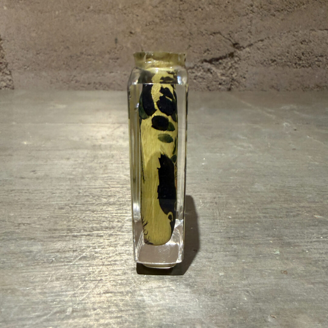 Antique-Reverse-Perfume-Crystal-Bottle-07-26-RR (5 of 12)